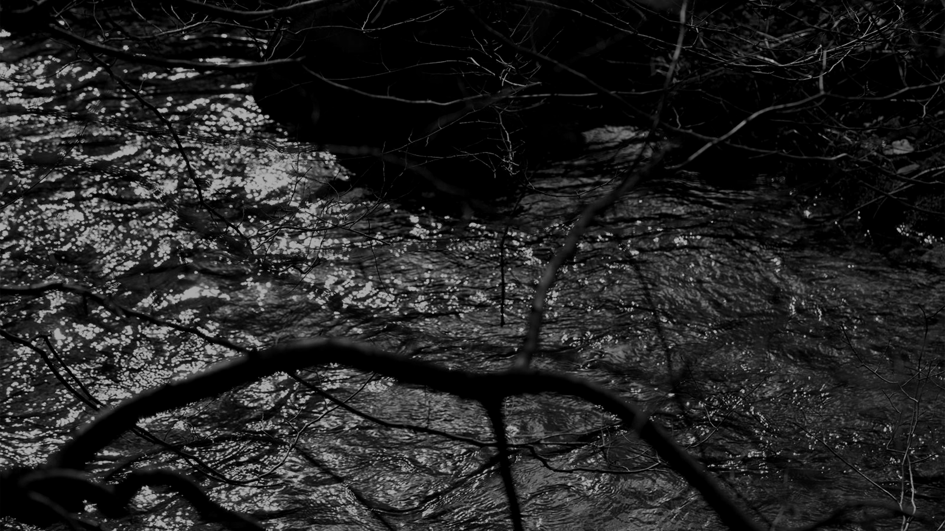 Headerbild